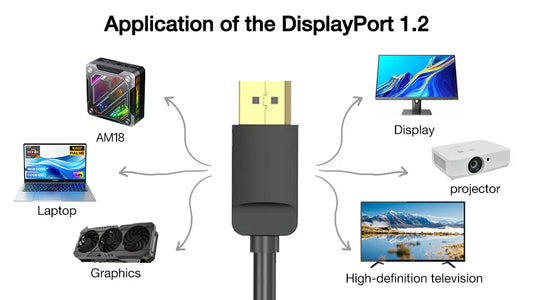 Titre : DisplayPort 1.2 : tout ce que vous devez savoir
